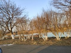 -泗洪洪泽湖湿地景区
