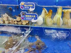 -船梆煮•蒸汽海鲜·生腌干蒸(五四广场店)