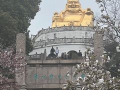 -苏州上方山国家森林公园