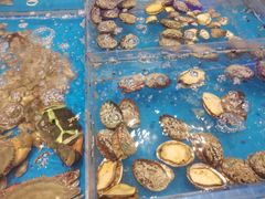 -箸福·夜上海(雨花客厅店)