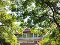 -湖畔居茶楼(湖滨店)