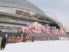 -沈阳奥体冰雪嘉年华
