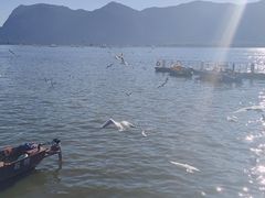 -海埂大坝