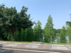 -东莞植物园