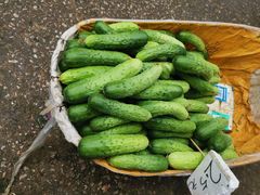 -江汉区姑嫂树菜市场