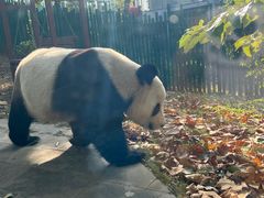 -大连森林动物园