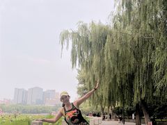 -莲花池公园