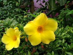 -天津东丽湖风景区