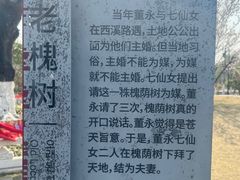 -东台西溪天仙缘景区