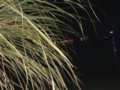 -龙江公园