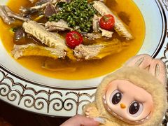 -龙悦湾酒家·八阵鱼生·渔人码头店