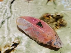-银座岩