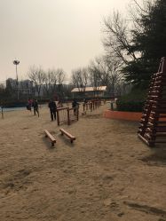 -酷酷兔少儿拓展天地