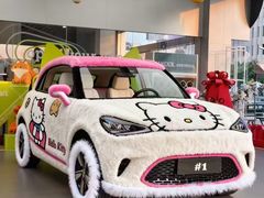 -上海浦东smart汽车全功能店(金桥店)