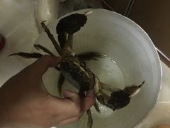-小陆莲花蟹园农家乐(莲花岛店)