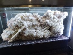 -湖南省地质博物馆