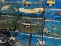 水产区-渔中舟海鲜大排档(普陀沈家门店)