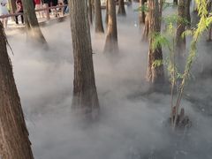 -东湖落雁景区
