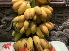 -肥福排档(星光店)