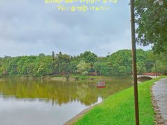 -象山森林公园