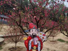 -南国桃园旅游度假区
