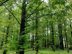 -国家植物园南园