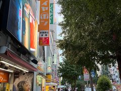 -秋叶原电器街