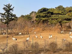 -沈阳森林动物园