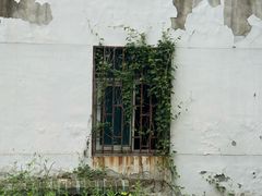 -乌镇东栅景区