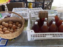 -马陆小张葡萄园农家乐