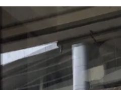 -人全到南京本帮菜馆(云锦路店)