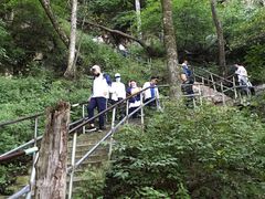 -帽儿山风景区