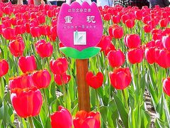 -长春公园(普阳街道)