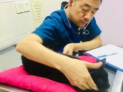 -哆趣宠物医院·眼科·内镜·急重症转诊中心(上海店)