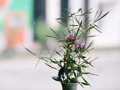 -广州市紫泥堂文化创意园景区