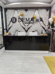 -DEM缔怡美科技美容