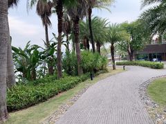 -蓝楹湾度假酒店