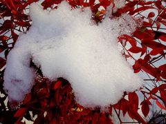 -镇江市南山风景名胜区竹林景区