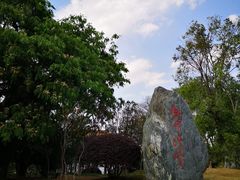 -洱海月湿地公园