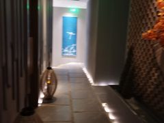 -Dragonfly 悠庭·按摩Spa(苏州中心广场店)