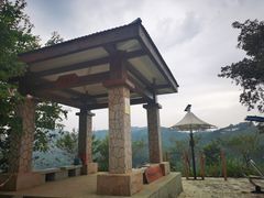 -天鹿湖森林公园