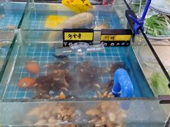 -佤家大院(南门店)