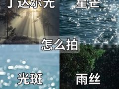-CGWANG王氏教育(上海校区)
