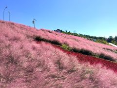 -沂蒙云瀑洞天景区