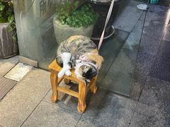 -萃坊 StillFun(玉林店)