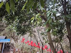 -太湖源风景区