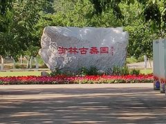-御林古桑园