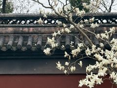 -钱王祠