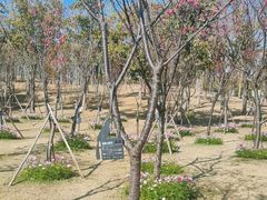 -牛岗山公园