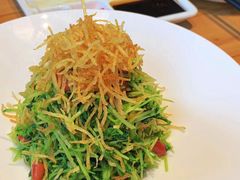 巧拌豆苗-四季民福烤鸭店(前门廊房二条店)